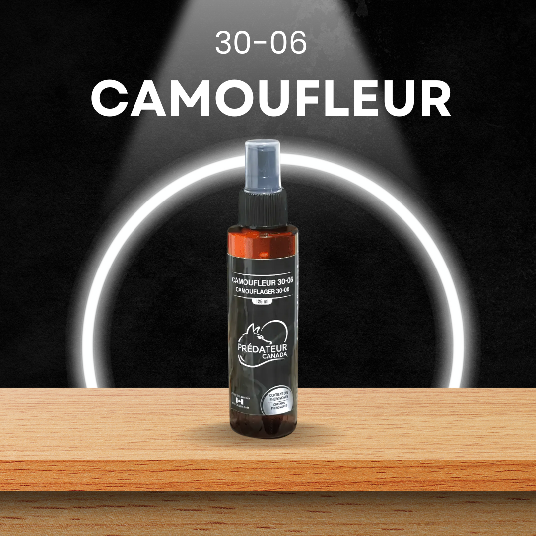 Ensemble complet 4 phases