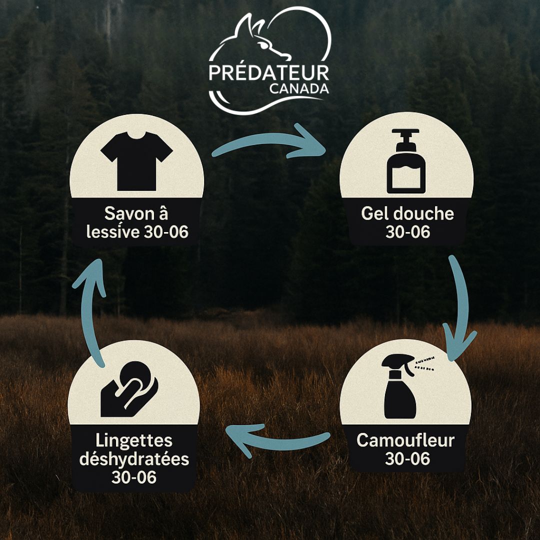 Ensemble complet 4 phases