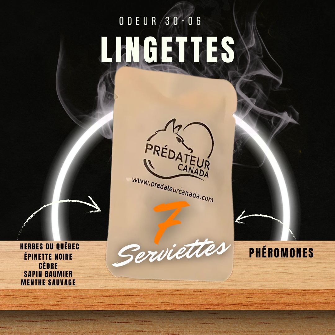 Lingettes 30-06 ( Paquet de 7 lingettes )