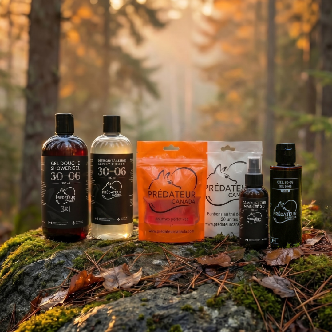 Ensemble complet - Bundle