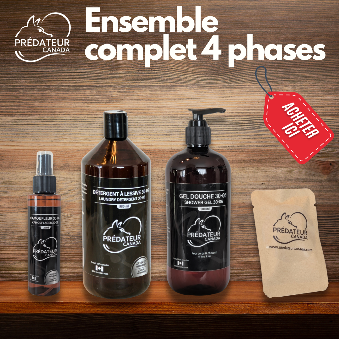 Ensemble complet 4 phases