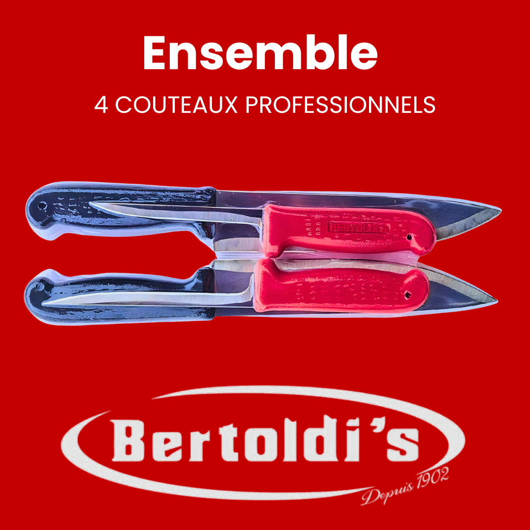 Ensemble 4 couteaux