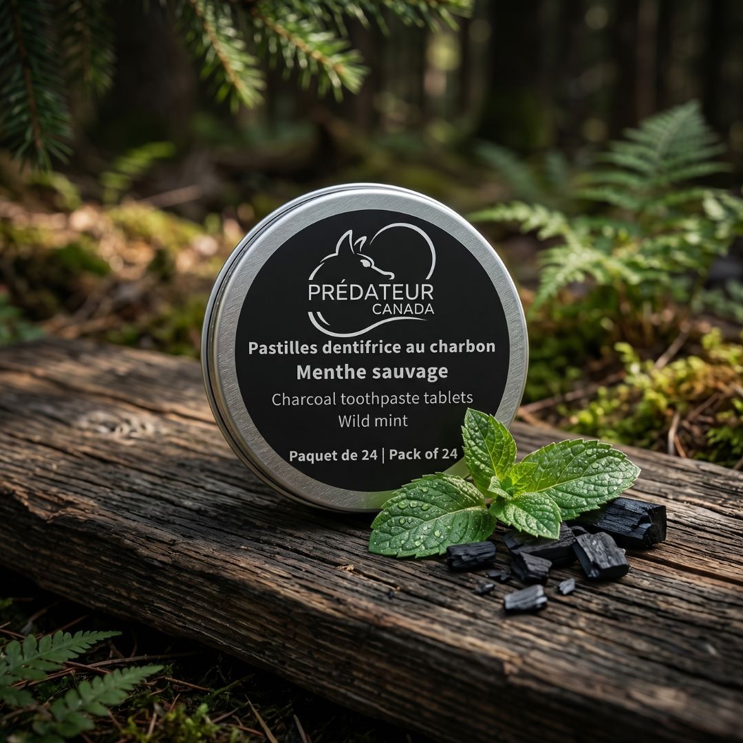 Pastilles dentaires 30-06 — Charbon actif & menthe sauvage