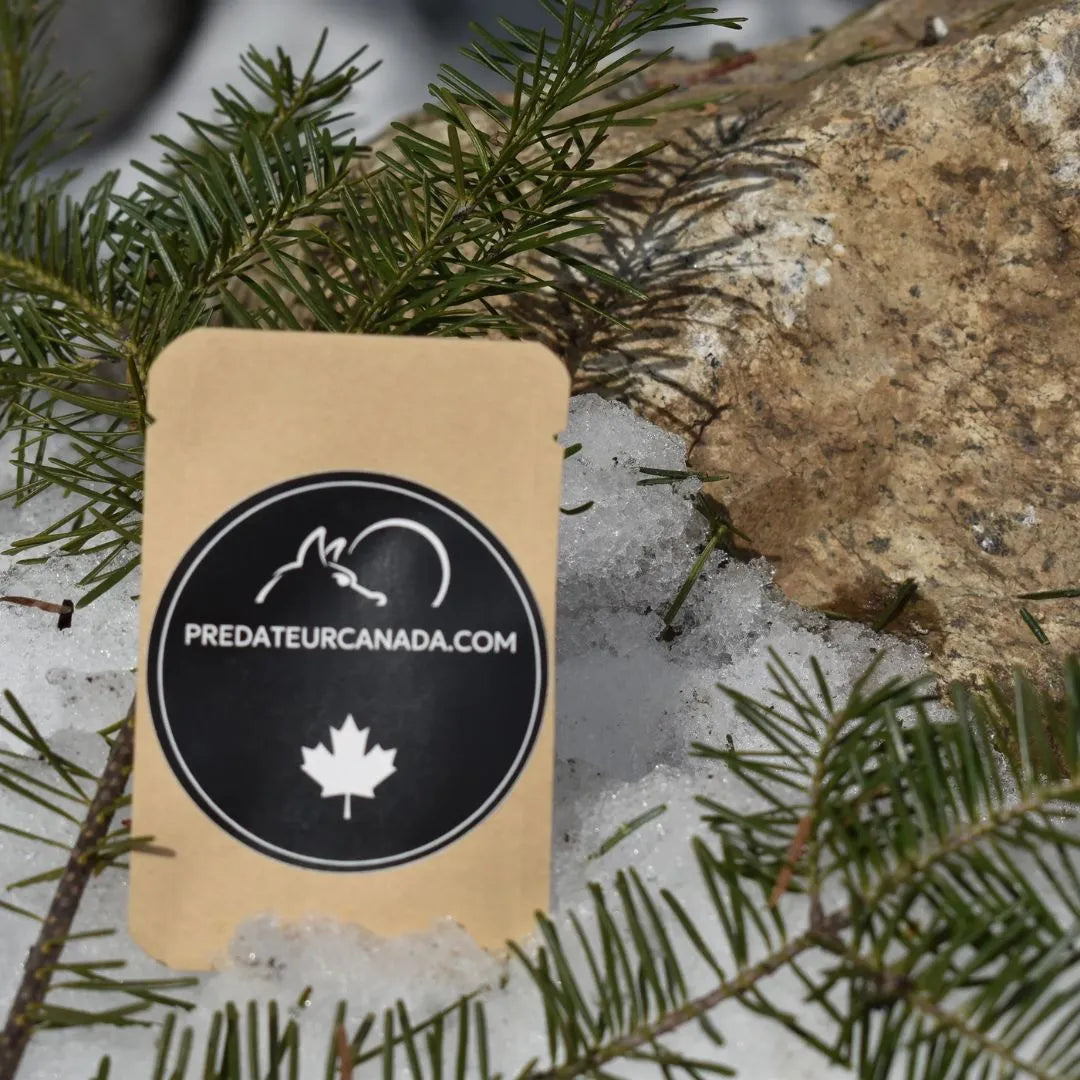 Lingettes déshydratée 30-06 - Predateur Canada